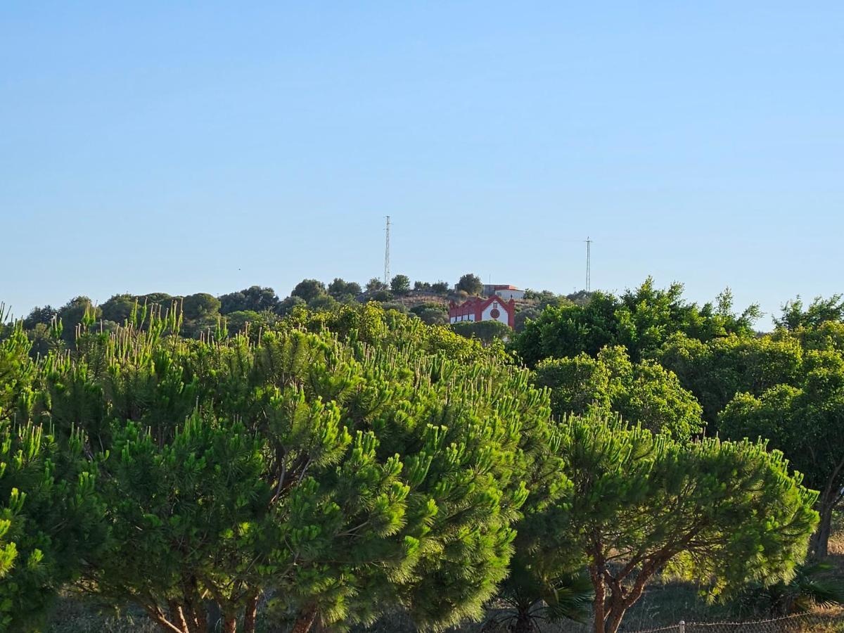 Sol Y Playa Daire San Fernando Dış mekan fotoğraf